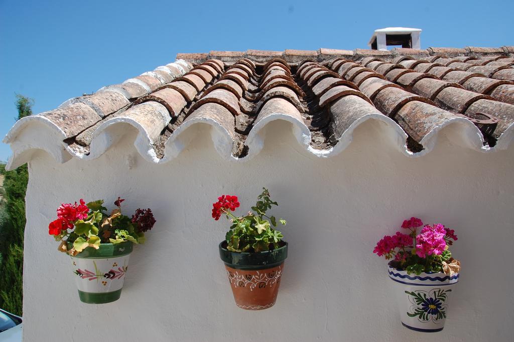 La Escuela Del Campo Bed & Breakfast Setenil De Las Bodegas Bagian luar foto