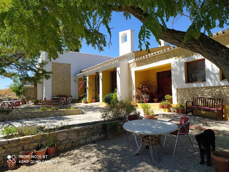 La Escuela Del Campo Bed & Breakfast Setenil De Las Bodegas Bagian luar foto