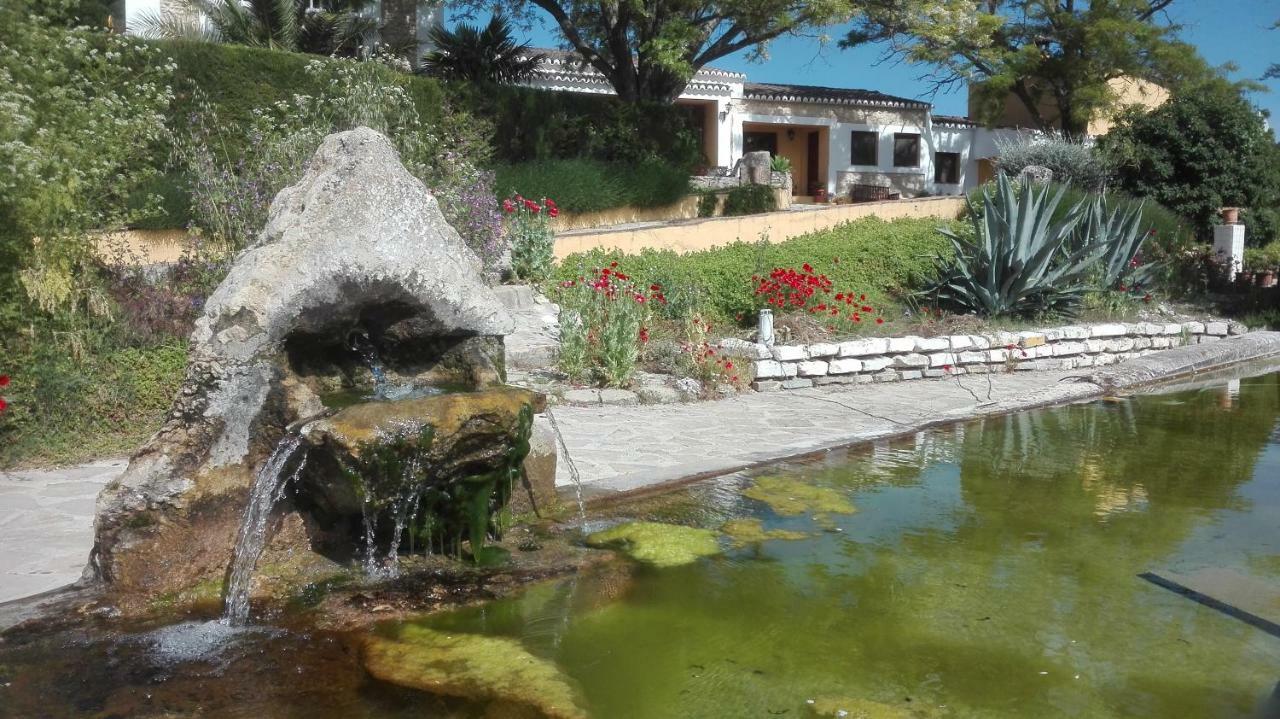 La Escuela Del Campo Bed & Breakfast Setenil De Las Bodegas Bagian luar foto